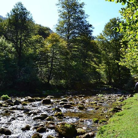 Gites Communaux A Lourdios Bagian luar foto