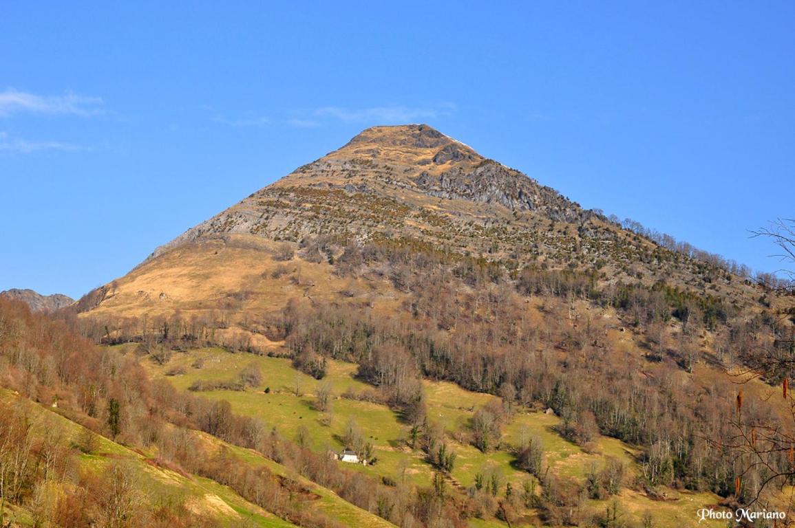 Gites Communaux A Lourdios Bagian luar foto