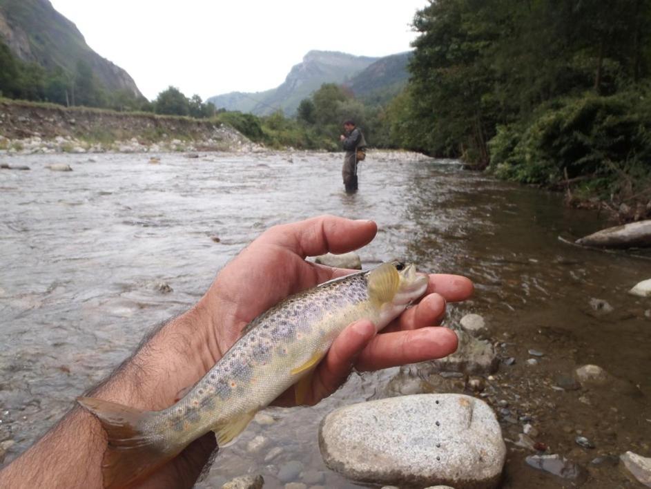 Gites Communaux A Lourdios Bagian luar foto