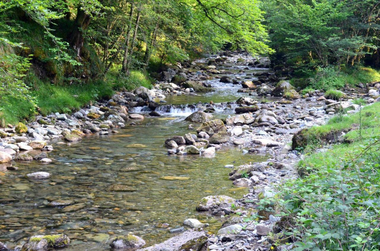 Gites Communaux A Lourdios Bagian luar foto